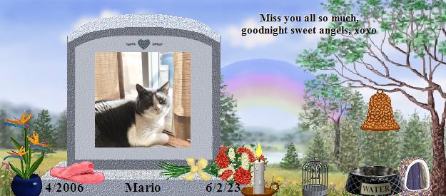 Mario's Rainbow Bridge Pet Loss Memorial Residency Image