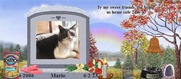 Mario's Rainbow Bridge Pet Loss Memorial Residency Image