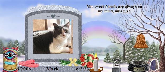 Mario's Rainbow Bridge Pet Loss Memorial Residency Image