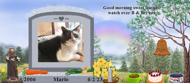 Mario's Rainbow Bridge Pet Loss Memorial Residency Image