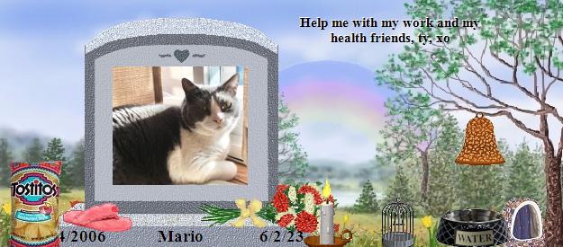 Mario's Rainbow Bridge Pet Loss Memorial Residency Image