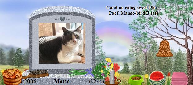 Mario's Rainbow Bridge Pet Loss Memorial Residency Image
