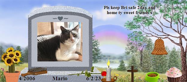 Mario's Rainbow Bridge Pet Loss Memorial Residency Image