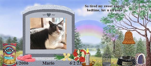 Mario's Rainbow Bridge Pet Loss Memorial Residency Image