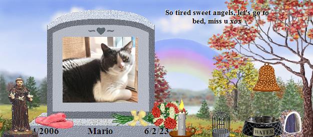 Mario's Rainbow Bridge Pet Loss Memorial Residency Image