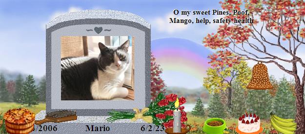 Mario's Rainbow Bridge Pet Loss Memorial Residency Image