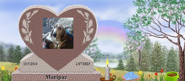 Maripaz's Rainbow Bridge Pet Loss Memorial Residency Image