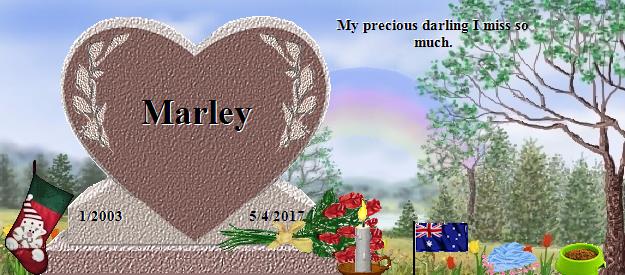 Marley's Rainbow Bridge Pet Loss Memorial Residency Image