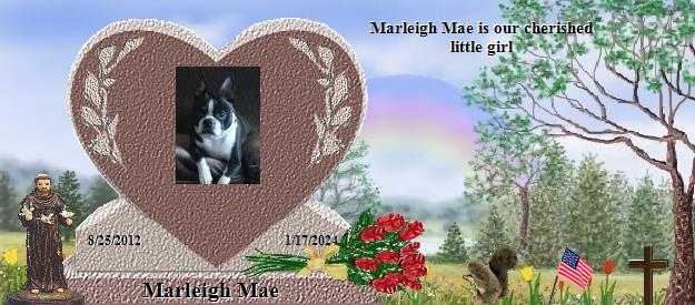 Marleigh Mae's Rainbow Bridge Pet Loss Memorial Residency Image