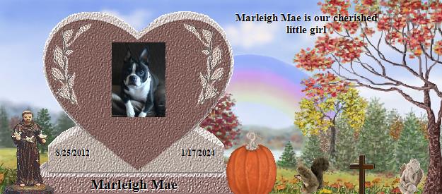 Marleigh Mae's Rainbow Bridge Pet Loss Memorial Residency Image