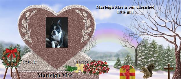 Marleigh Mae's Rainbow Bridge Pet Loss Memorial Residency Image