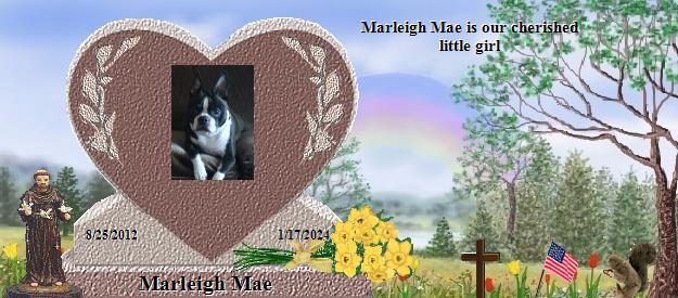 Marleigh Mae's Rainbow Bridge Pet Loss Memorial Residency Image