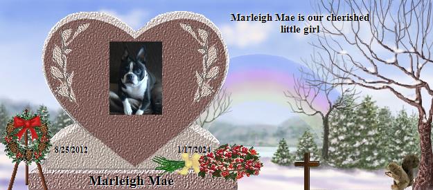 Marleigh Mae's Rainbow Bridge Pet Loss Memorial Residency Image