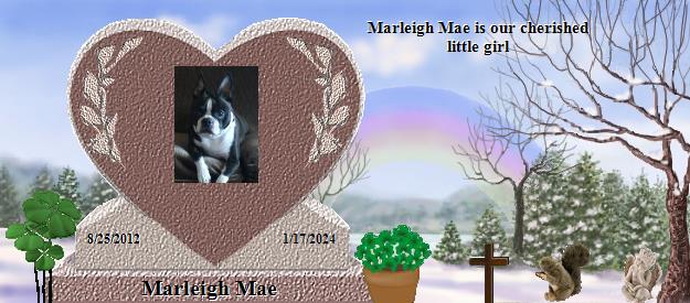 Marleigh Mae's Rainbow Bridge Pet Loss Memorial Residency Image