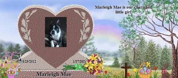 Marleigh Mae's Rainbow Bridge Pet Loss Memorial Residency Image