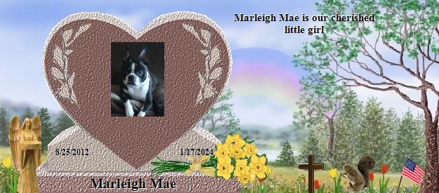 Marleigh Mae's Rainbow Bridge Pet Loss Memorial Residency Image