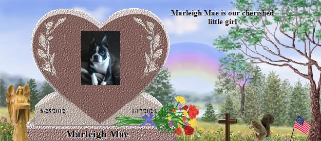 Marleigh Mae's Rainbow Bridge Pet Loss Memorial Residency Image