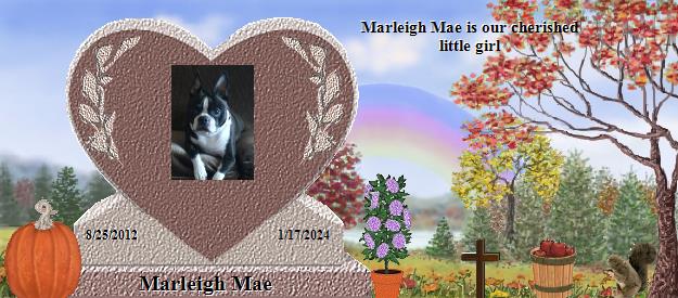 Marleigh Mae's Rainbow Bridge Pet Loss Memorial Residency Image