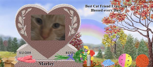 Marley's Rainbow Bridge Pet Loss Memorial Residency Image