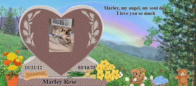 Marley Rose's Rainbow Bridge Pet Loss Memorial Residency Image