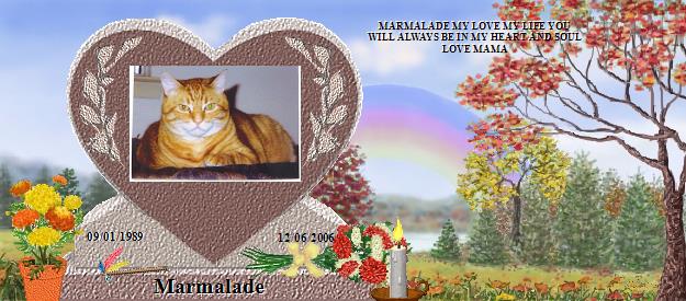 Marmalade's Rainbow Bridge Pet Loss Memorial Residency Image