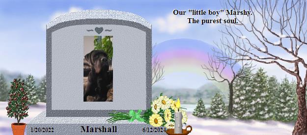 Marshall's Rainbow Bridge Pet Loss Memorial Residency Image