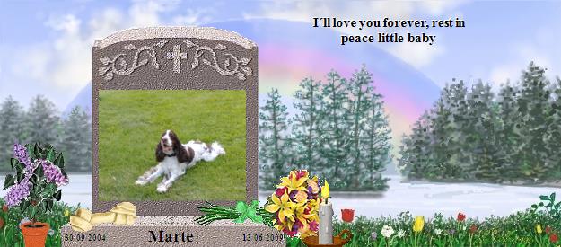 Marte's Rainbow Bridge Pet Loss Memorial Residency Image