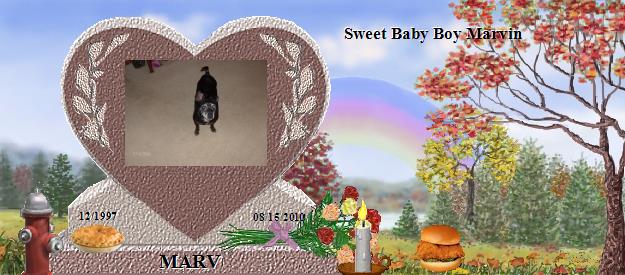 MARV's Rainbow Bridge Pet Loss Memorial Residency Image