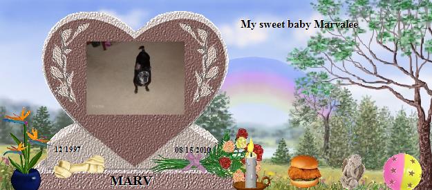 MARV's Rainbow Bridge Pet Loss Memorial Residency Image