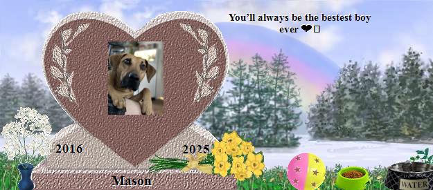 Mason's Rainbow Bridge Pet Loss Memorial Residency Image