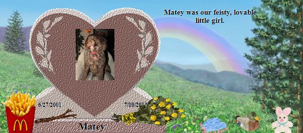 Matey's Rainbow Bridge Pet Loss Memorial Residency Image