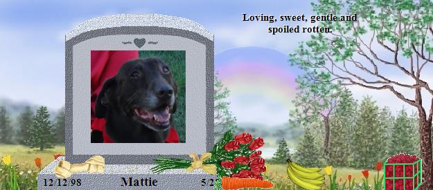 Mattie's Rainbow Bridge Pet Loss Memorial Residency Image