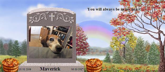 Maverick's Rainbow Bridge Pet Loss Memorial Residency Image