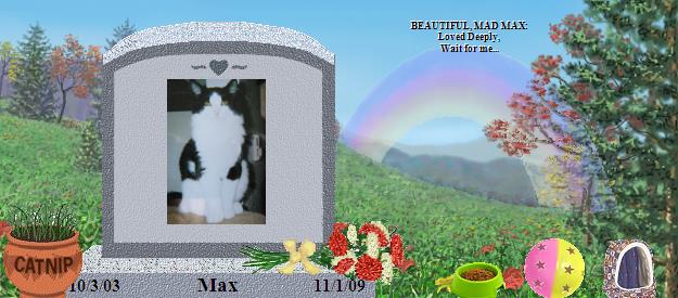 Max's Rainbow Bridge Pet Loss Memorial Residency Image