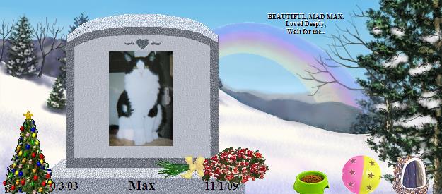 Max's Rainbow Bridge Pet Loss Memorial Residency Image