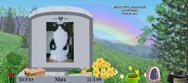 Max's Rainbow Bridge Pet Loss Memorial Residency Image