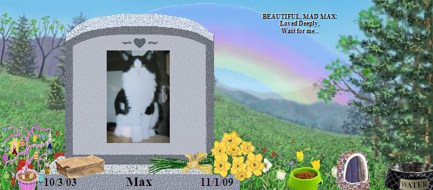 Max's Rainbow Bridge Pet Loss Memorial Residency Image