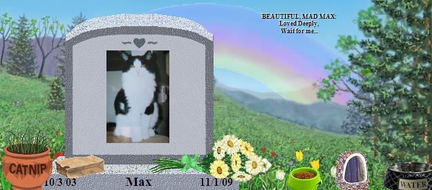 Max's Rainbow Bridge Pet Loss Memorial Residency Image