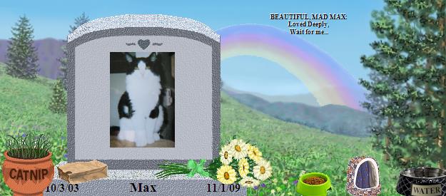Max's Rainbow Bridge Pet Loss Memorial Residency Image