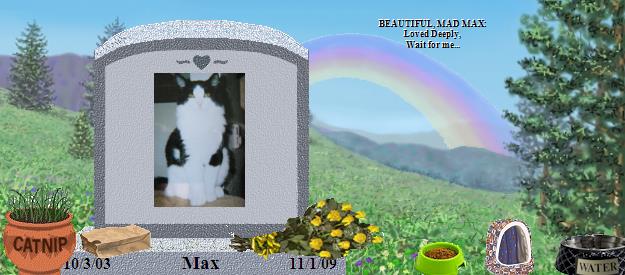 Max's Rainbow Bridge Pet Loss Memorial Residency Image