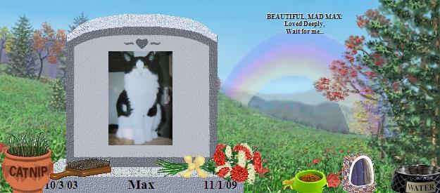 Max's Rainbow Bridge Pet Loss Memorial Residency Image