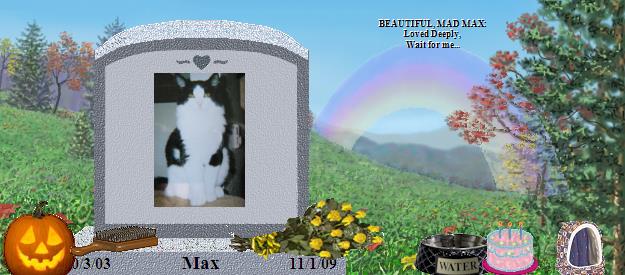 Max's Rainbow Bridge Pet Loss Memorial Residency Image