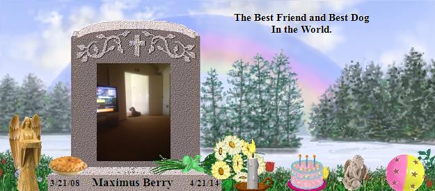 Maximus Berry's Rainbow Bridge Pet Loss Memorial Residency Image