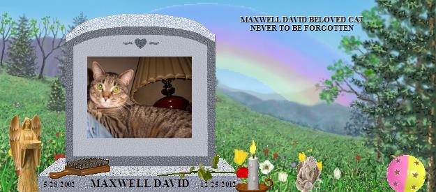 MAXWELL DAVID's Rainbow Bridge Pet Loss Memorial Residency Image