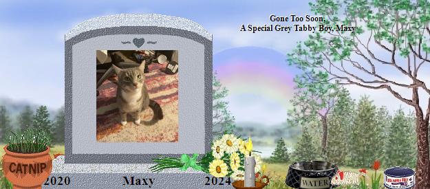 Maxy's Rainbow Bridge Pet Loss Memorial Residency Image