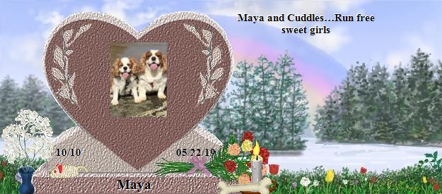 Maya's Rainbow Bridge Pet Loss Memorial Residency Image