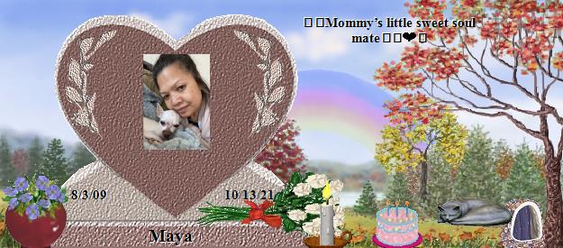 Maya's Rainbow Bridge Pet Loss Memorial Residency Image