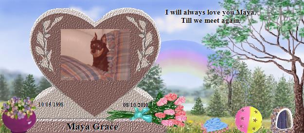 Maya Grace's Rainbow Bridge Pet Loss Memorial Residency Image