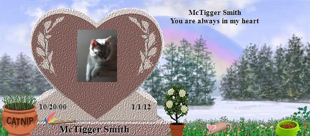 McTigger Smith's Rainbow Bridge Pet Loss Memorial Residency Image