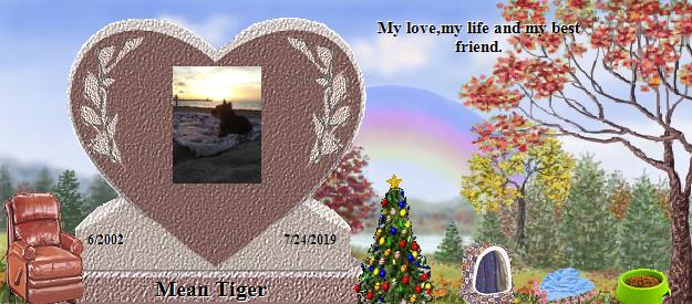 Mean Tiger's Rainbow Bridge Pet Loss Memorial Residency Image
